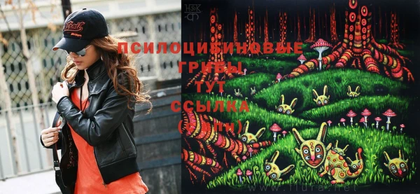 PSILOCYBIN Михайлов