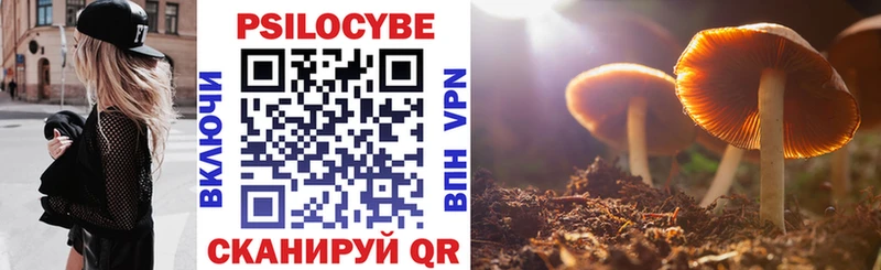 Купить где  Устюжна  Галлюциногенные грибы Psilocybe 